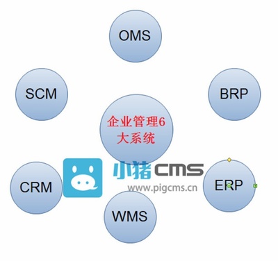 CRM、ERP、OMS、WMS、SCM、BRP 電商企業需知的6大管理系統