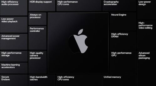 蘋果自研電腦芯片亮相，兩年內(nèi)全面取代英特爾，重塑硬件設(shè)計(jì)新紀(jì)元